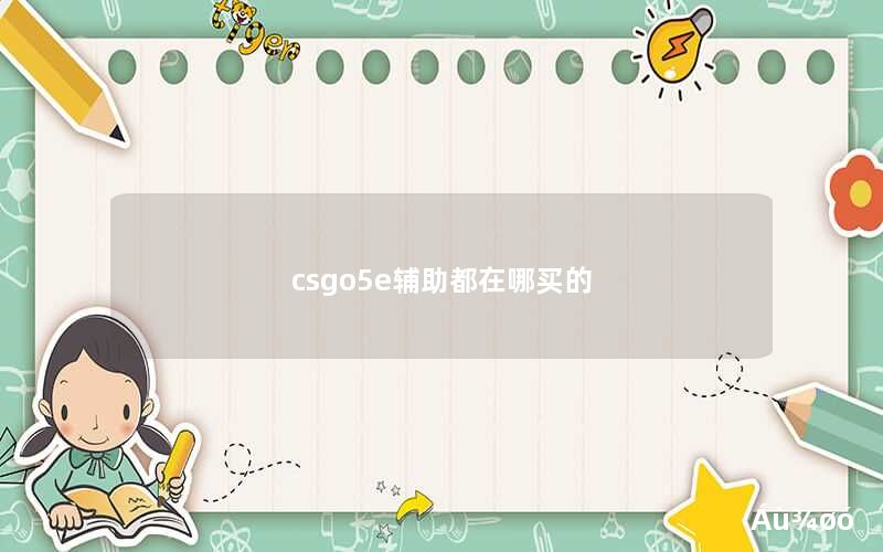 csgo5e辅助都在哪买的