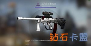 CSGO皮肤推荐——AUG | 极地孤狼
