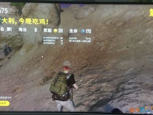 <b>绝地求生雷达辅助更新版：自瞄会定住敌人，吊起来打（专打挂B）</b>