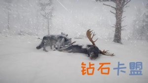 Steam新游推荐12