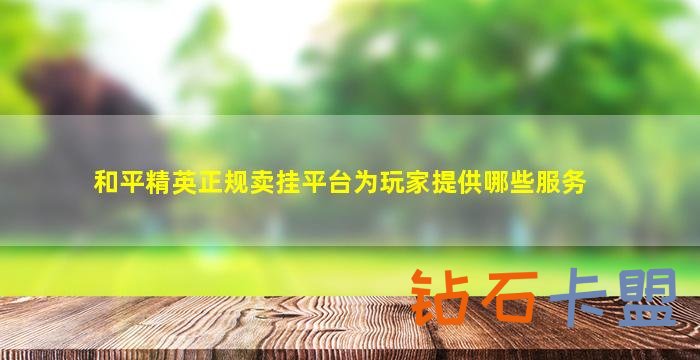 和平精英正规卖挂平台为玩家提供哪些服务（和平精英正规卖挂